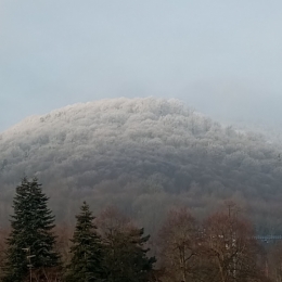 #5 Froid 20260123.jpg