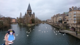 Metz Temple Neuf Ile Saulcy.jpg