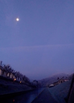 #52 Ma photo de l'année.jpg