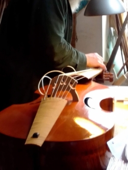 luthier 20210303 (10).jpg