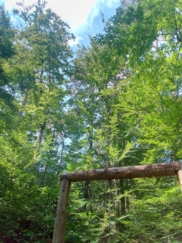 #34 En pleine nature (2).jpg