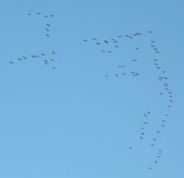 PB036235.JPG