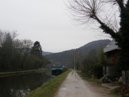 15 janvier 2014 (2).JPG