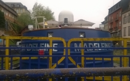 Madeleine 20190404 (1).jpg