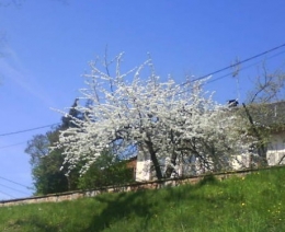 24 avril 2013 (1).JPG