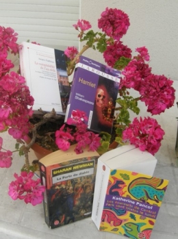 Lectures estivales 072011.JPG