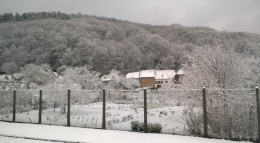WP_20171218_001.jpg