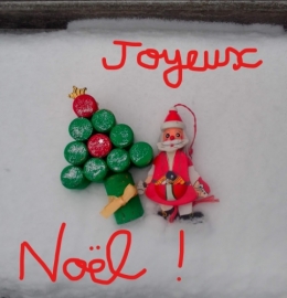 2022 Joyeux Noël (2).jpg