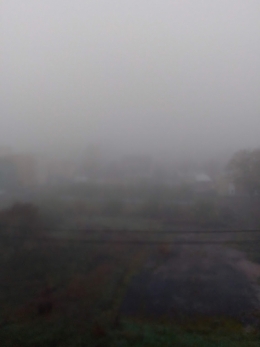 IMG_20201113_082728.jpg