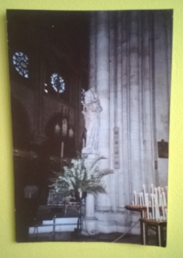 WP_20190418_001.jpg