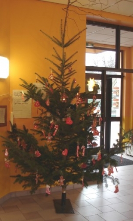 Sapin école 2011.JPG