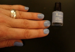 verni bleu (2).JPG