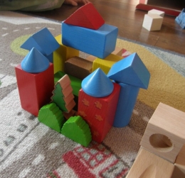 4 mars 2014 cubes Haba (1).JPG