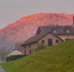 L'heure rose.jpg