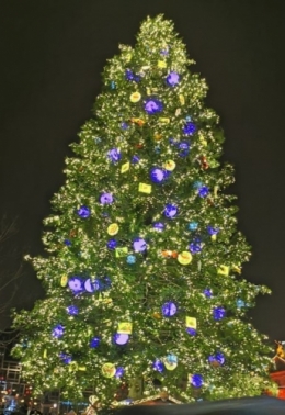 Noël 2019 Strasbourg MO (1).jpg