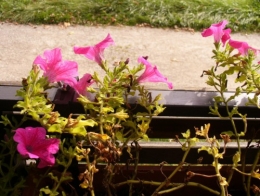 24 septembre 2014 (4).JPG