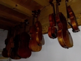luthier 20210303 (11).jpg