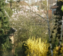 10 avril 2015 (1).JPG