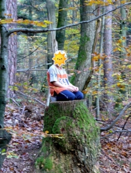 #42 Dans la forêt Oct2005.jpg
