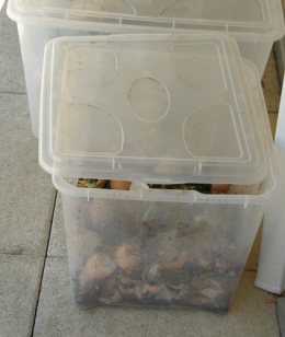 bac à compost,réduction des déchets