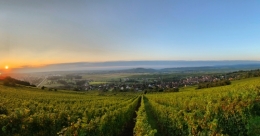 Hauts de Wangen NH 20210917.jpeg