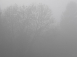 30 décembre 2013 (7).JPG