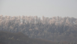 13 mars 2013  (2).JPG
