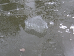 #4 froid 2017 02 08.JPG