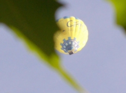 9 août 2014 Montgolfière (3).JPG