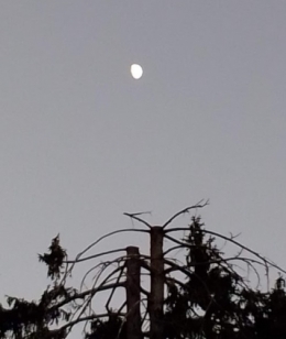 IMG_20200630_213820.jpg