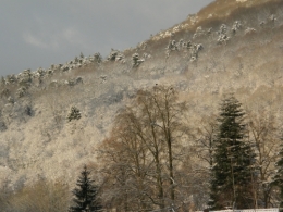 17 janvier 2016 (3).JPG