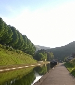 WP_20170510_002.jpg