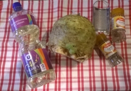 WP_20190130_001.jpg