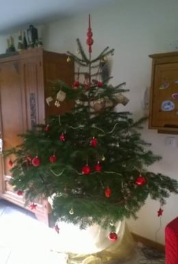 Sapins 2015 (6).jpg