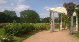 WP_20160528_010.jpg