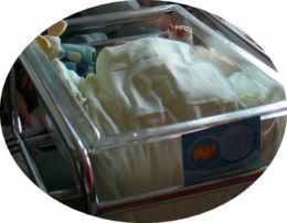 BB mat.JPG