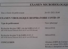 Test PCR.jpg