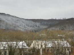Depuis le velux 15 janvier 2016 (1).JPG