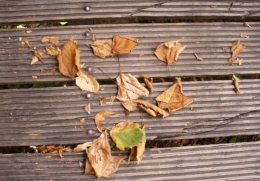 23 août 2013 (2).JPG