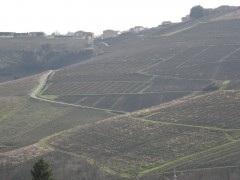 Maillard 3 22122009.JPG