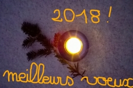InkedVoeux 2018_LI.jpg