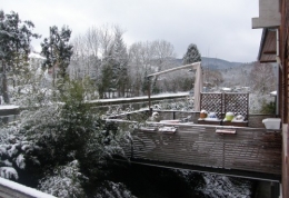 Premières neiges  12 2012 (1).JPG