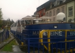 Madeleine 20190404 (2).jpg
