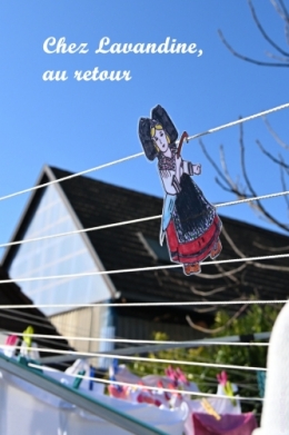 liesele en alsace et dans l'herault (14).JPG