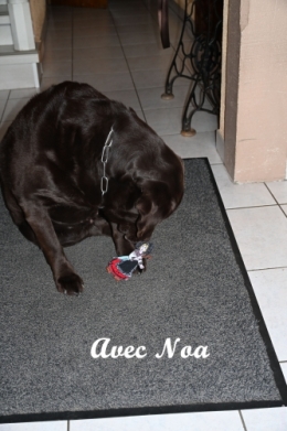 liesele en alsace et dans l'herault (11).JPG