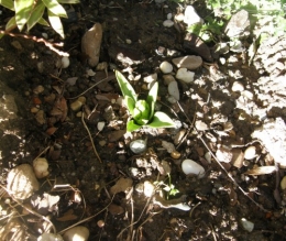 12 février 2014 (2).JPG