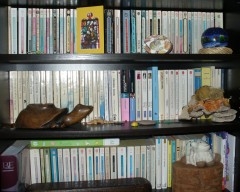 Bibliothèque.JPG