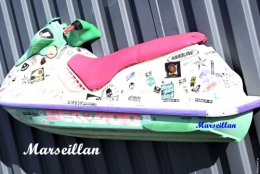 liesele en alsace et dans l'herault (26).JPG