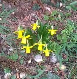 11 mars 2019 (1).jpg