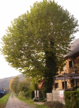 30 octobre  (1).JPG